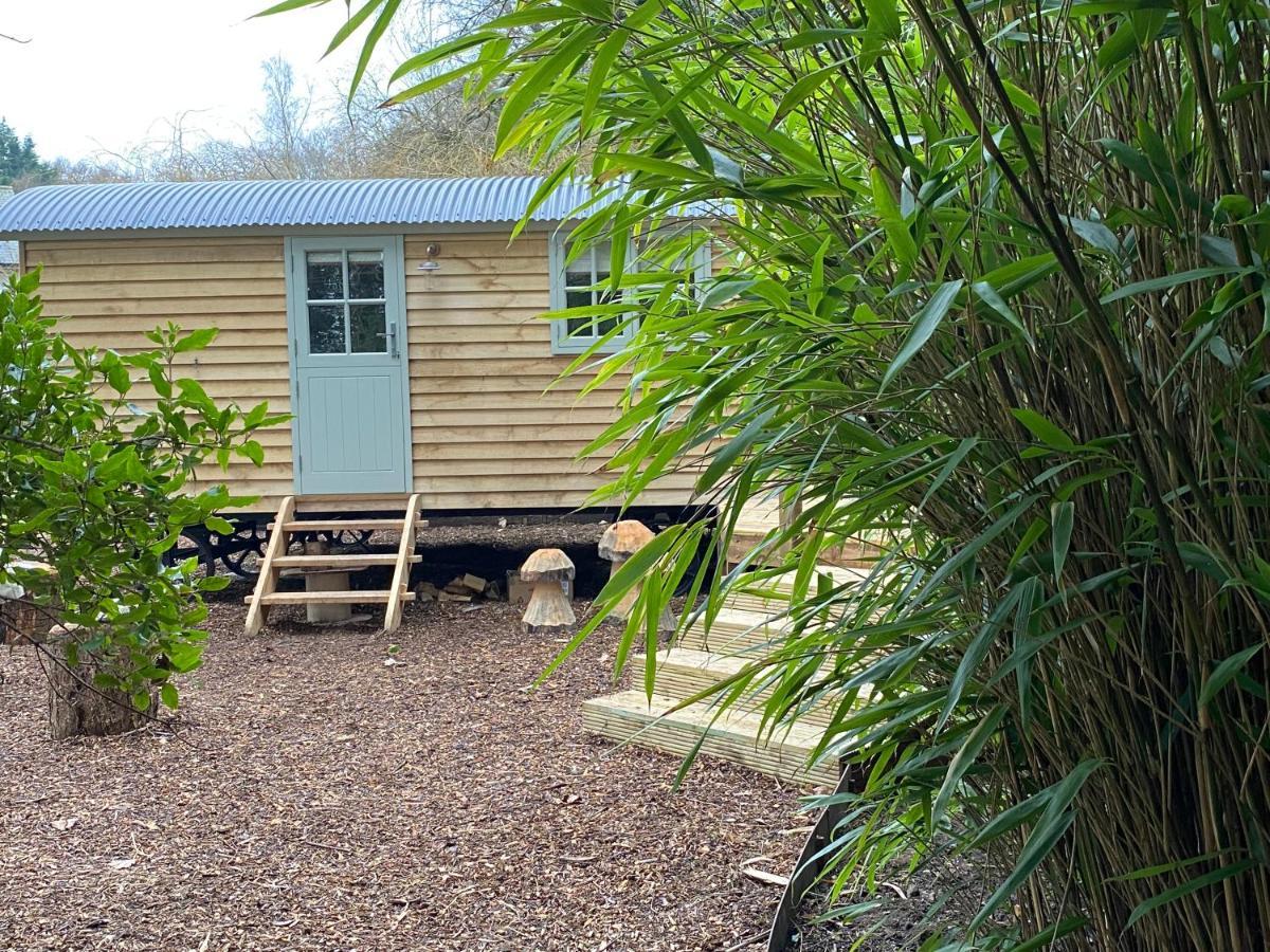 Chez Maurice Luxury Shepherds Hut With Bath And Hot Tub Kelling Exterior foto